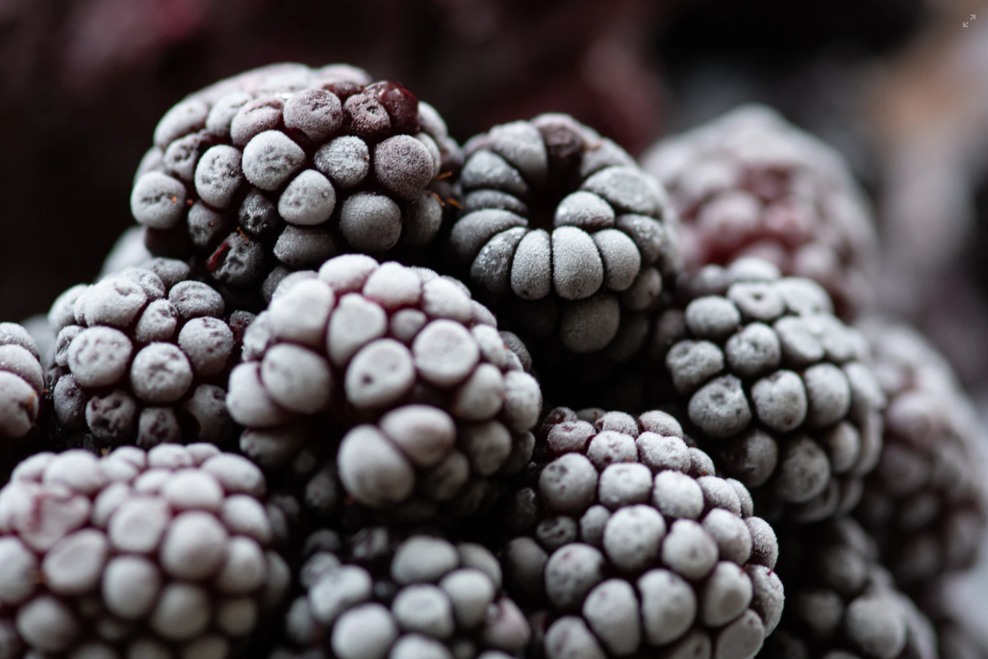 Trockeneis-Blöcke: Kühlen und Lagern von Lebensmitteln mit Trockeneis