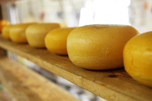Käse gekühlt versenden